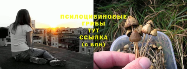 гашик Беломорск