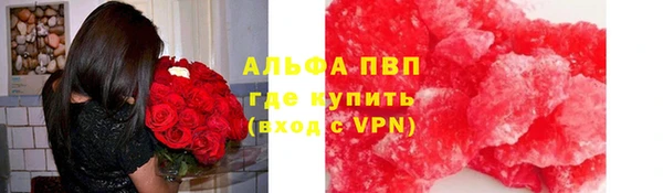 PSILOCYBIN Бронницы