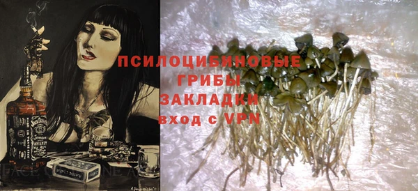 PSILOCYBIN Бронницы