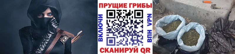 цены   Зеленоградск  Псилоцибиновые грибы Psilocybe 